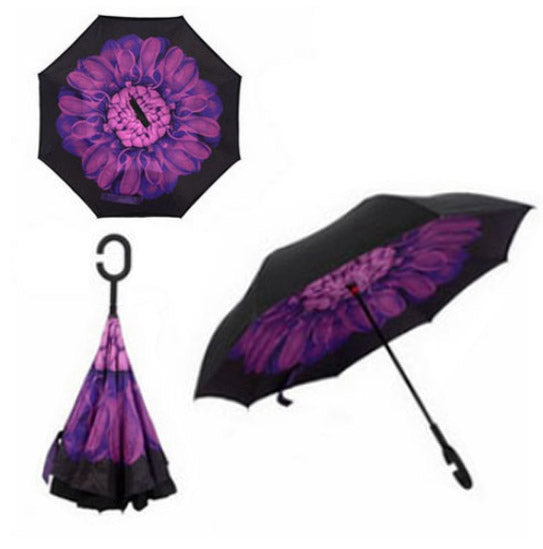Innovative Umbrella