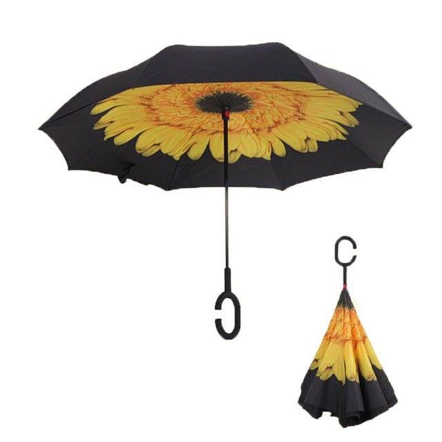 Innovative Umbrella